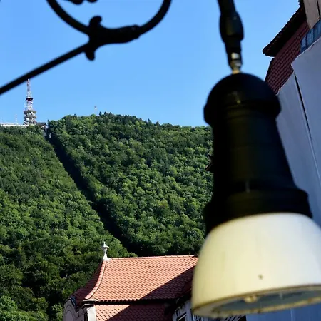 招待所 Royal 布拉索夫